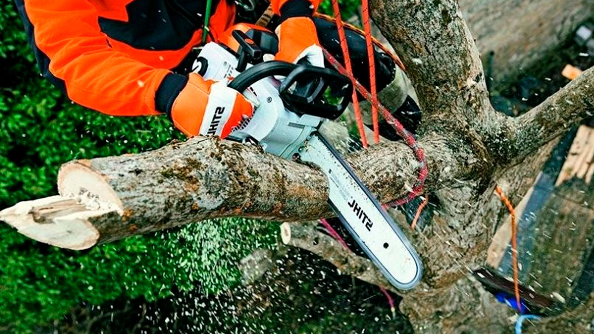 Спилить аварийное дерево. Stihl MS 201 TC-M. Штиль 201т. Бензопила штиль 200т. MS 201 С штиль.